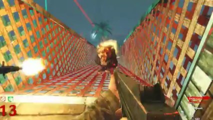 Call of Duty Zombies: PIRATE SHIP