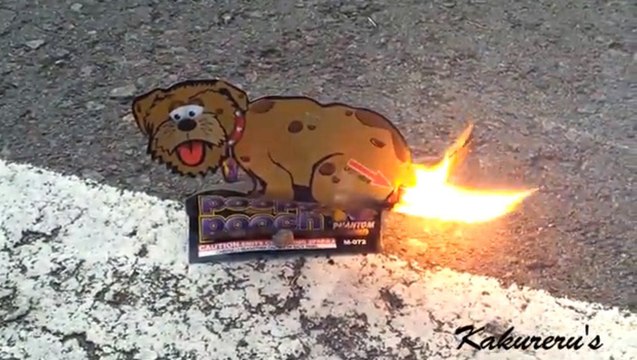 Poopy Puppy le pétard qui fait caca