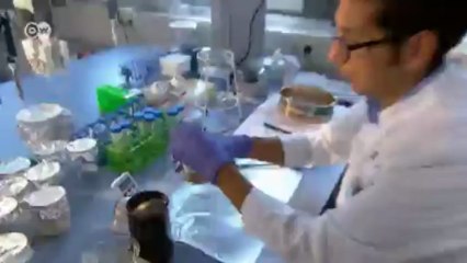 Intolerancia a los cereales: nuevas claves | Visión futuro