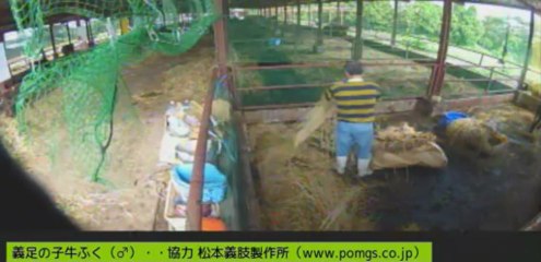 20130708　伊東先生と福ちゃん