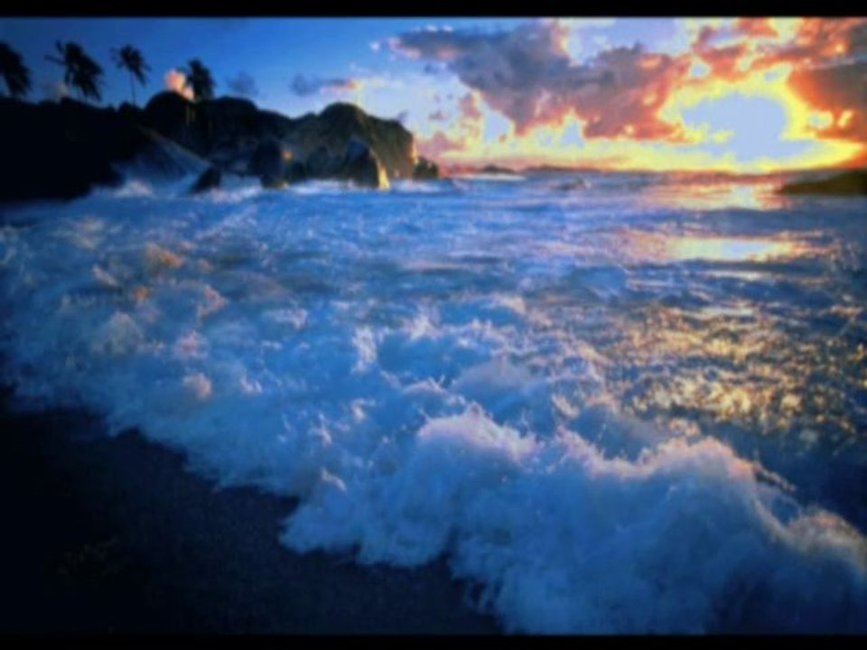 Tout en bleu Marine