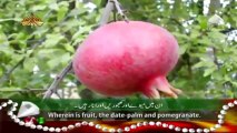 Surah Rahman - Beautiful and Heart trembling Quran recitation by Syed Sadaqat Ali [HD] -kayani