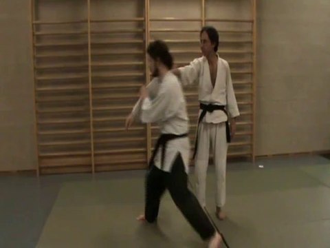 Ushiro eri dori kihon : uchi sabaki, irimi tsuki