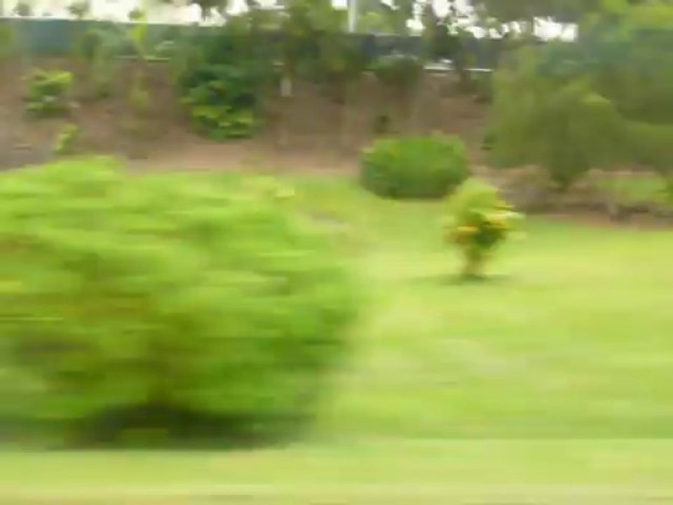 HILO HAWAII 2013 160