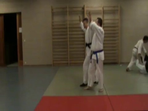 Ushiro eri dori kihon : soto sabaki, sokumen irimi