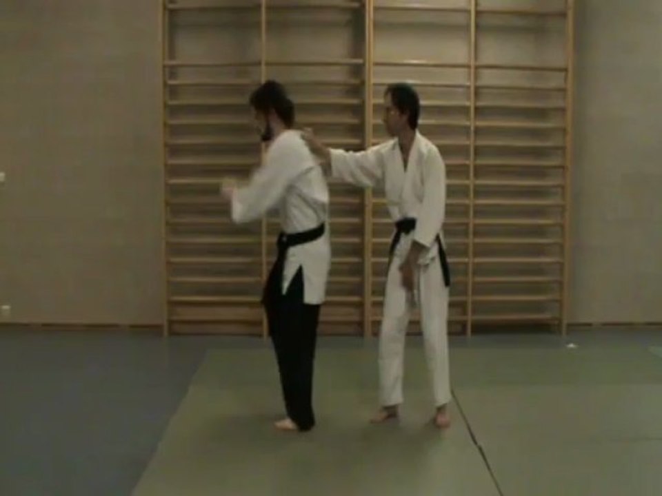 Ushiro eri dori kihon : ushiro geri