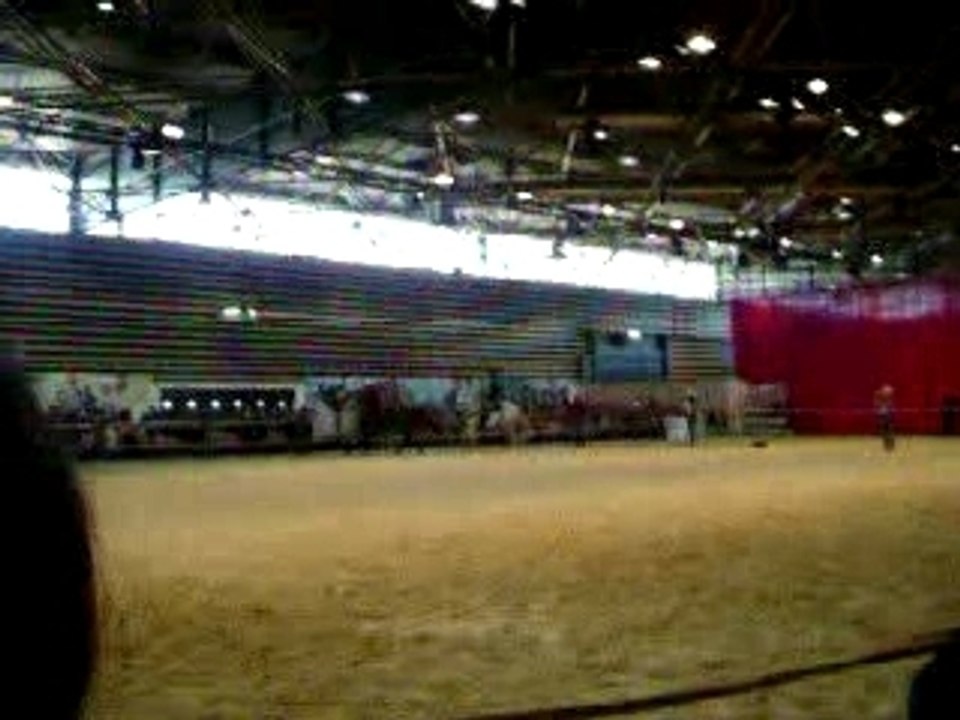 Spectacle