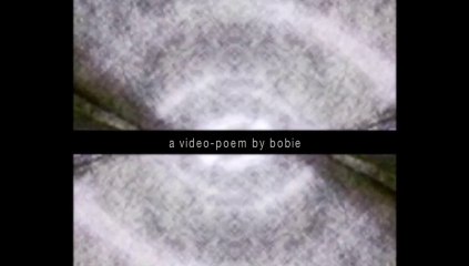 Circulaire (sélection officielle: 2014 Instants Vidéo - Marseille / TARP Festival - Vilnius)