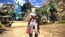 Final Fantasy XIV - Eorzea Collection 2013