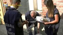 Pavia - 4 chili di droga trovati durante visita fiscale (16.07.13)