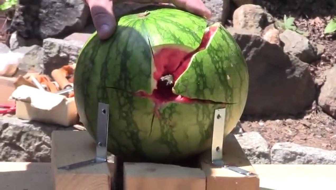 The Toilet Brush Monster Revolver