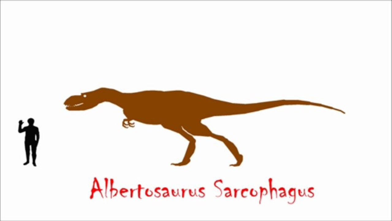 Dinosaur Size Comparison - Version #1
