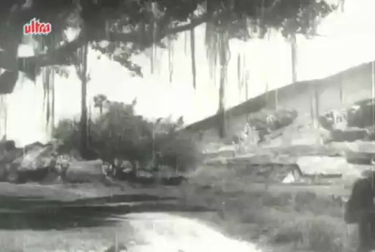 Chal Ud Jare Panchhi - Mohammed Rafi, Bhabhi Song 1