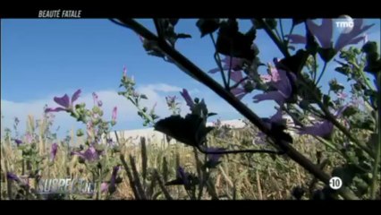 Reportage_ beaute fatale_ parking_mortel (partie 1sur2)