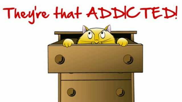 Interactive Cat Toys - All New Bird Catcher PRO!