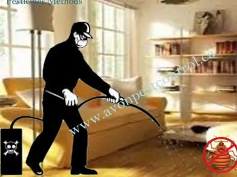 Various types of methods used in Bed Bugs Pest Control