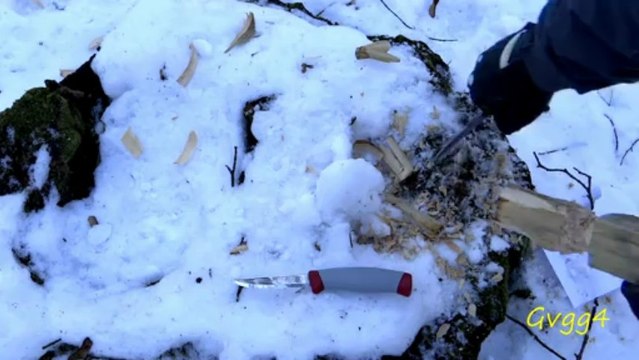 Тест по дереву: Condor Sapien+