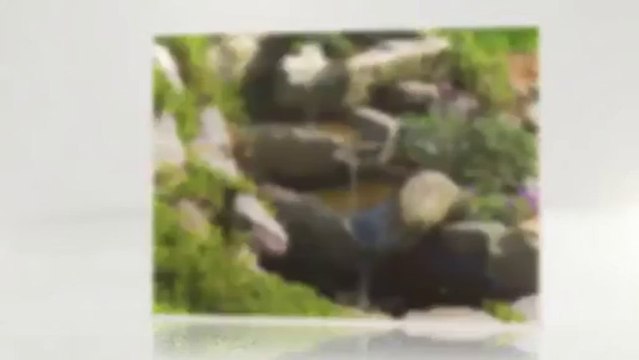 Crew Cut Lawn Care - (352) 429-3116