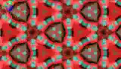 Barneys CM - JapanRetailNews