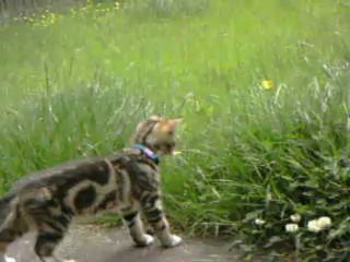 Ares-Apollo first venture outside (Part 1)