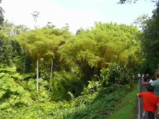 HILO HAWAII 2013 069