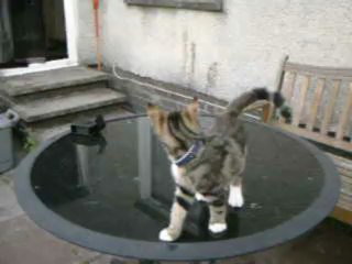 Ares-Apollo trying to escape