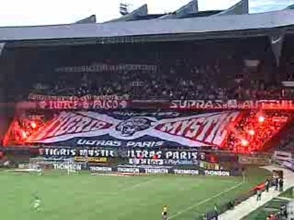 10 ans des tigris mystic