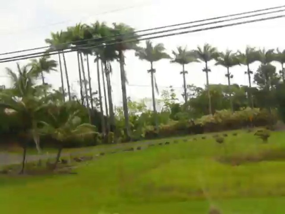 HILO HAWAII 2013 067