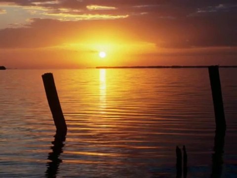 Ataol Behramoğlu - Aşk İki Kişiliktir (Ceyhun Yılmaz)