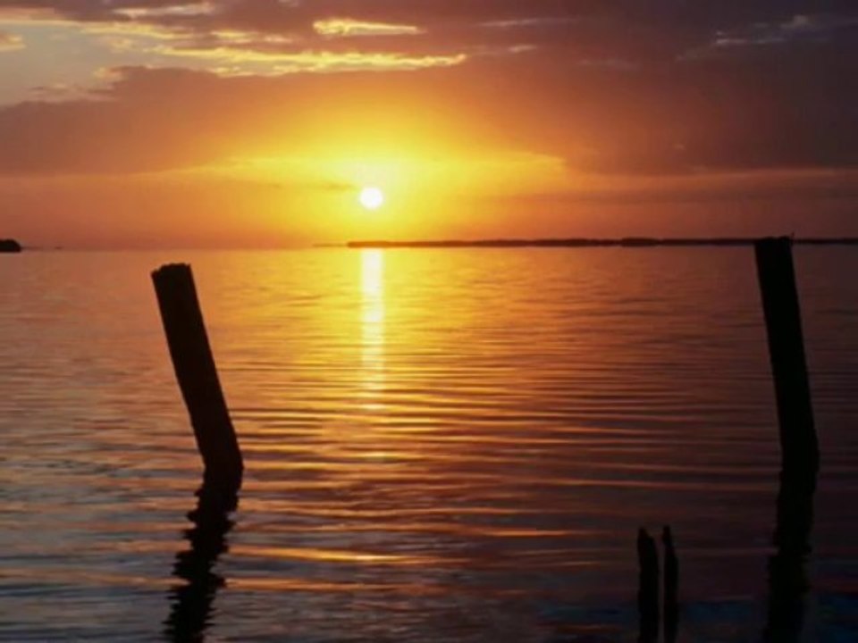 Ataol Behramoğlu - Aşk İki Kişiliktir (Ceyhun Yılmaz)