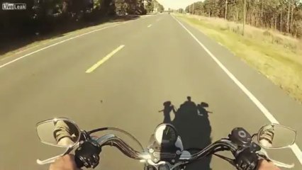 Biker forgets cars have brakes too_0