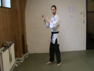 (gedan mae ashi) yoko geri (kakato)