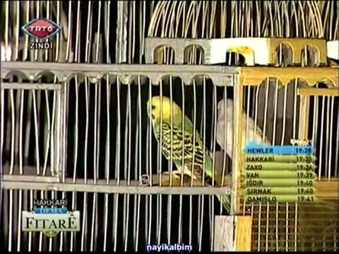 Gel gör beni aşk neyledi Aziz Kartal Ramazan 2013