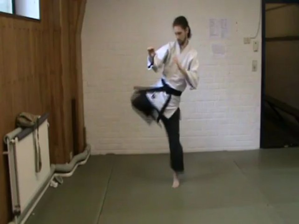(chudan mae ashi) mawashi geri (kubi)