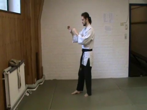 (gedan mae ashi) mawashi geri (kubi)
