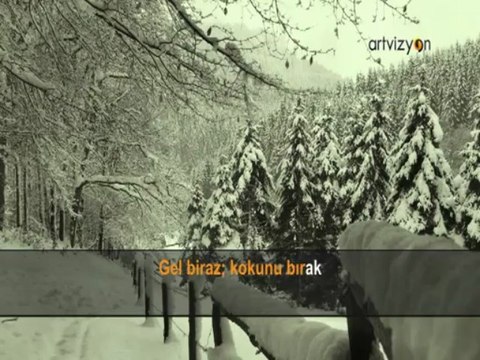 Ferit Meriç - Karaağaç