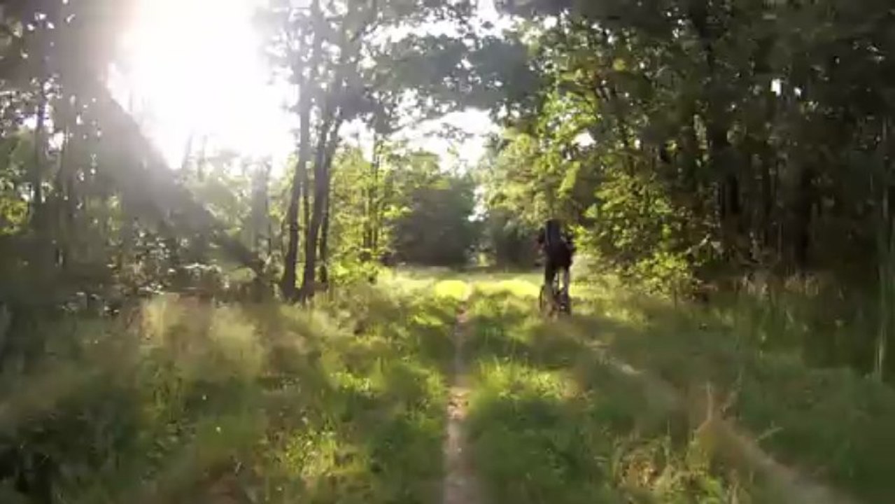 DEDEZ AU TOP