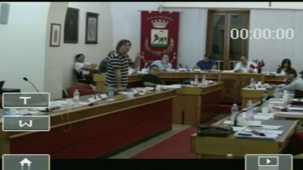 Consiglio comunale 8 luglio 2013 Punto 6 replica Arboretti