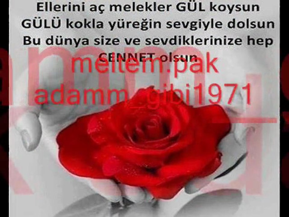 meltem.pak gül yüzlü peygamberim