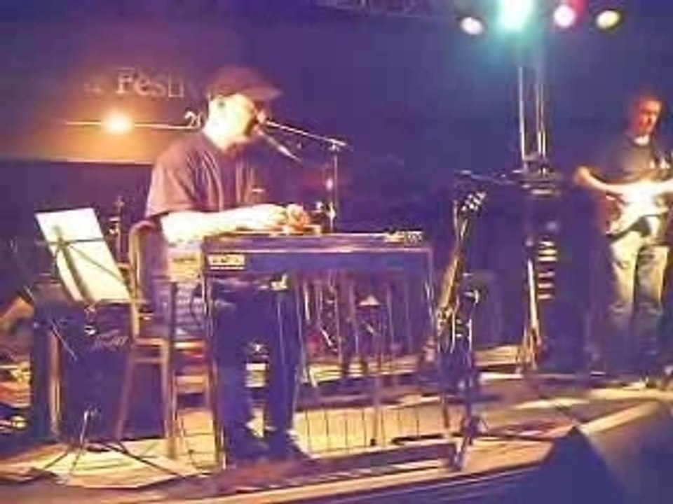 Lionel WENDLING pedal steel guitar