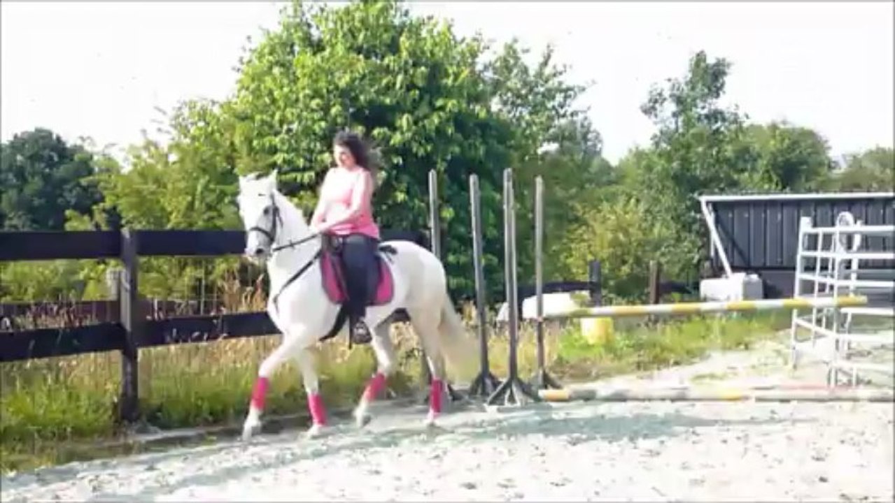 obelisco etalon Lusitanien