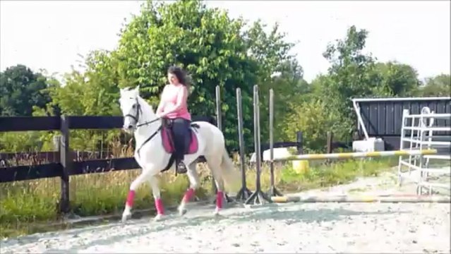 obelisco etalon Lusitanien