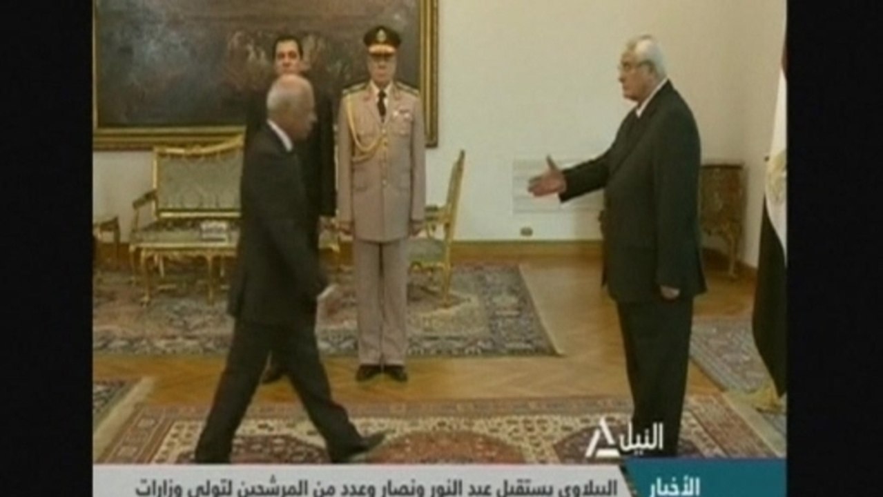 Egypt's interim govt gets to work