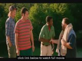 Watch Grown Ups 2 online Megavideo