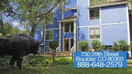 Buffalo Canyon Apartments in Boulder, CO - ForRent.com
