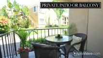 Club River Run Homes Apartments in San Diego, CA - ForRent.com