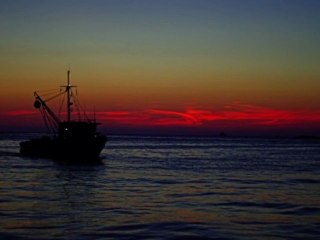 Đani Stipaničev  - Prokleta ljubav