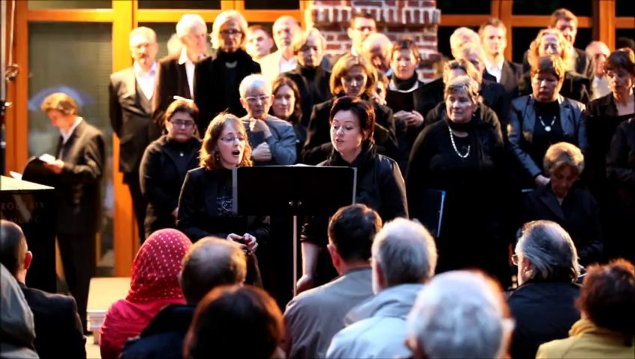 Musiques sous les étoiles - concert du 27 juin 2013 - Roncq