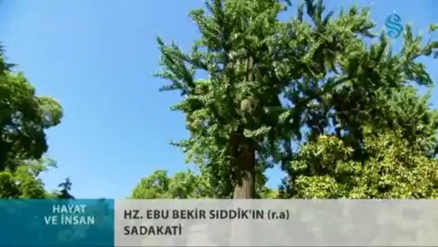 Hz. Ebubekir Sıddık (R.a.) Sadakati - Hayat ve İnsan
