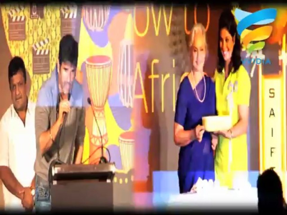 Bollywood Stars at Saifta Awards 2013